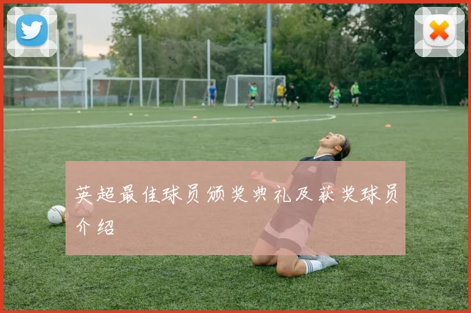 英超最佳球员颁奖典礼及获奖球员介绍